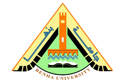 البرمجيات واﻷنظمة الإلكترونية